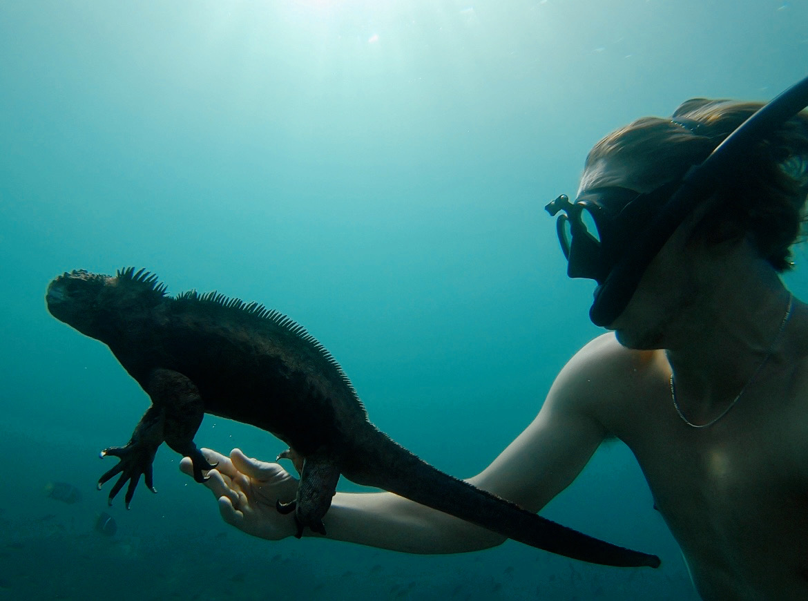 Freediving