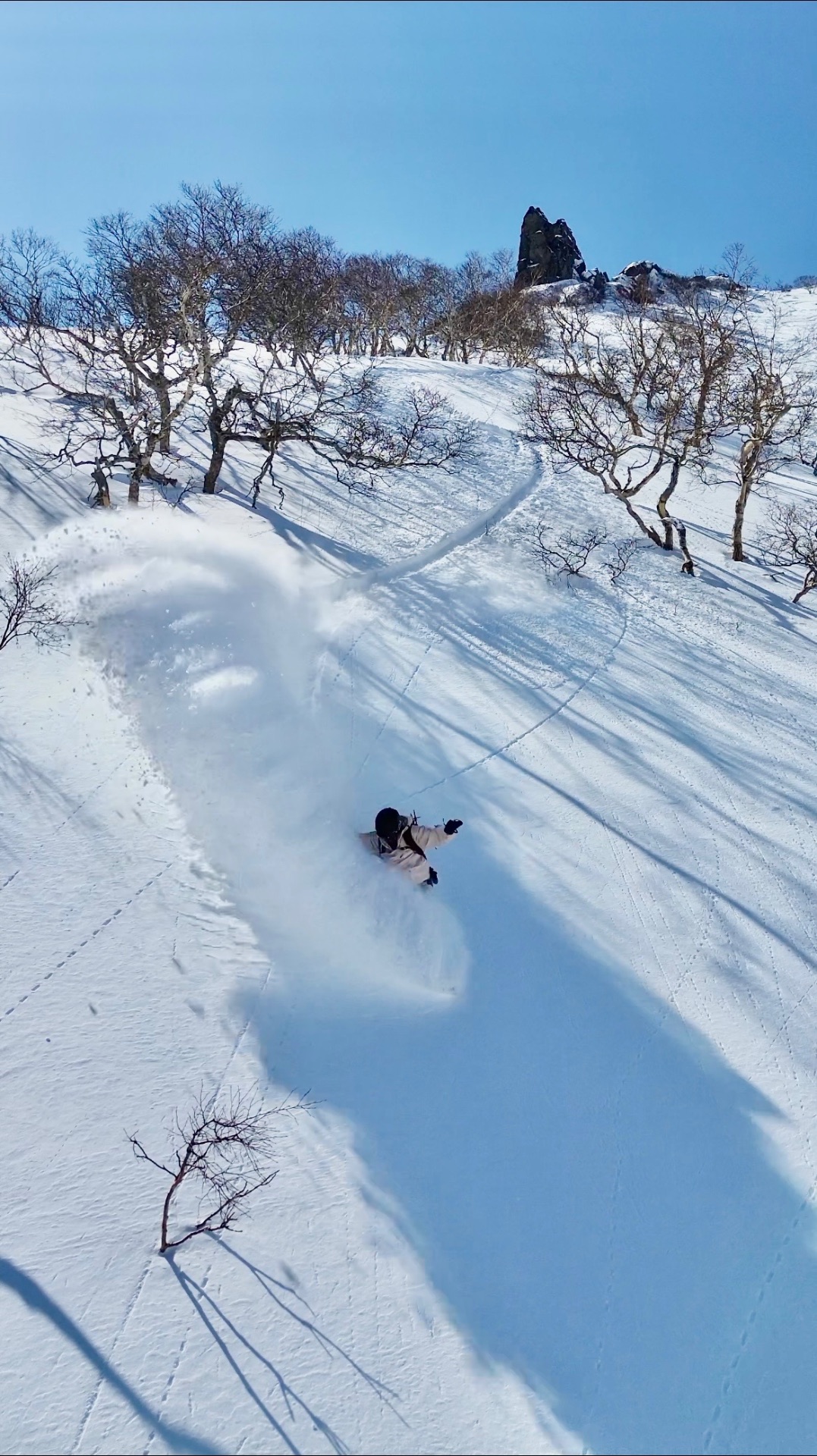 Backcountry Skiing & Splitboarding